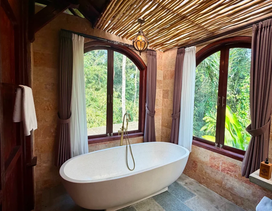 Suite Jungle